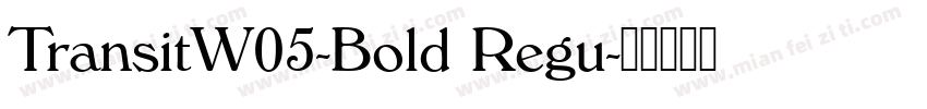 TransitW05-Bold Regu字体转换